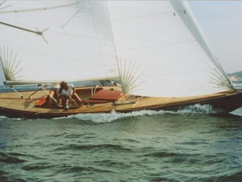 Custom built 'Daysailers'